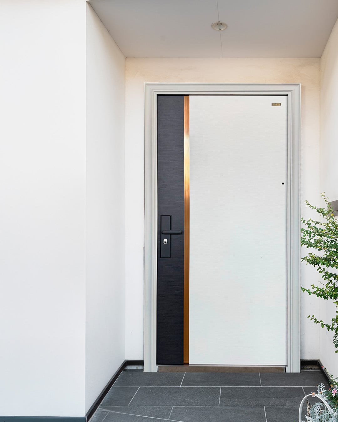 Puerta de Seguridad Multipuntos White Grey TS-S903L Izquierda