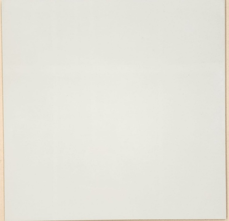 Ivory White 600X600X8MM(1.44MTS)