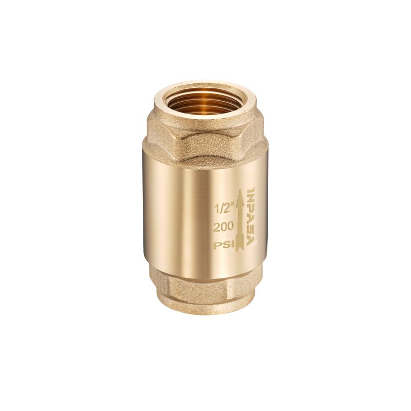 Check Valve con Resorte Vertical 1/2" Inpasa