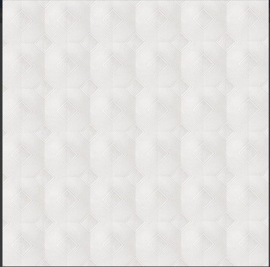 LAMINA CIELO RASO 2'x2' METRIC