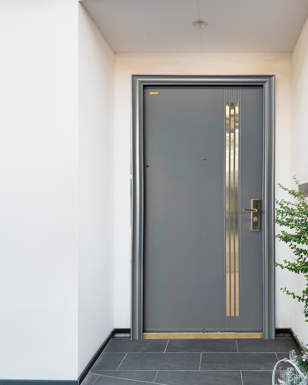 Puerta de Seguridad Multipuntos Gold Grey TS-S904L Izquierda
